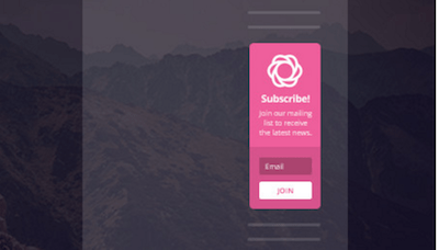 bloom embedded widget area opt in form