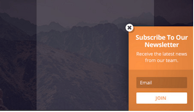 bloom fly-in opt-in form