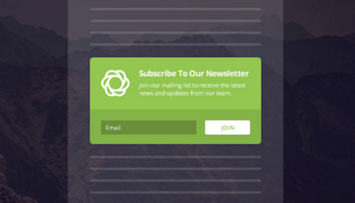 bloom inline opt-in form